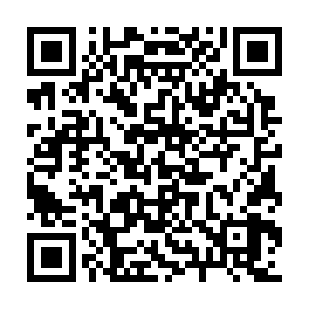 QR code for 295368