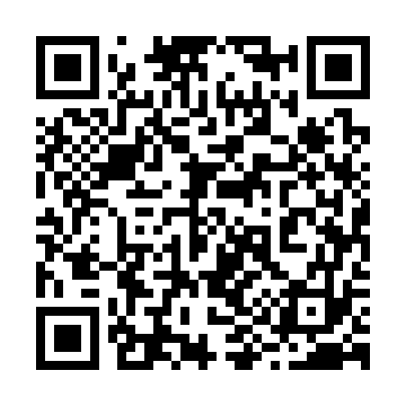 QR code for 295373