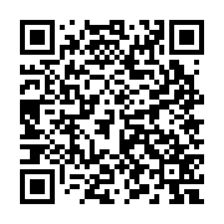QR code for 295377