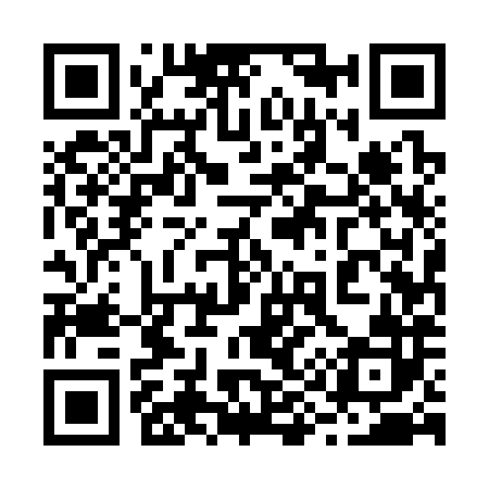 QR code for 295382