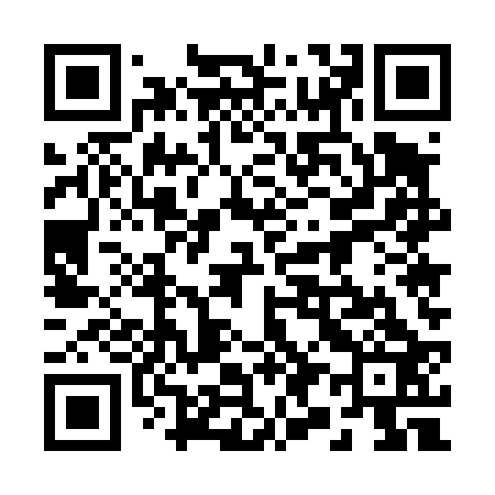 QR code for 295423