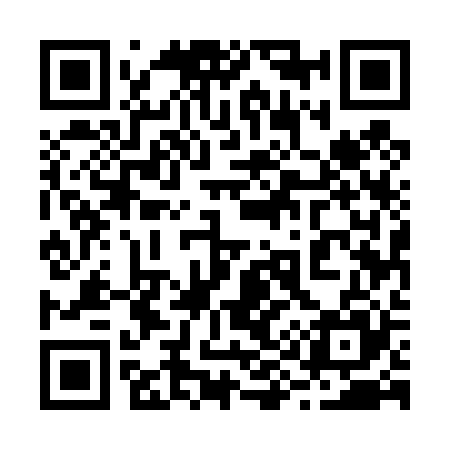 QR code for 295425