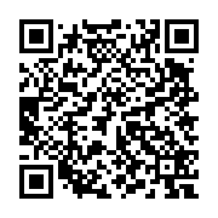 QR code for 295429