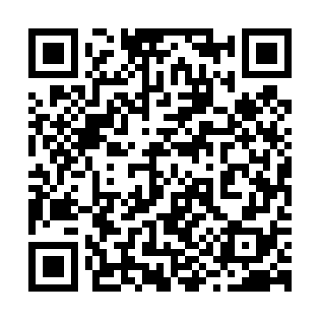 QR code for 295478