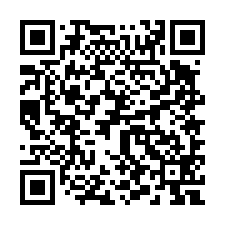 QR code for 295499
