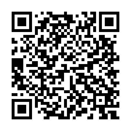 QR code for 295502