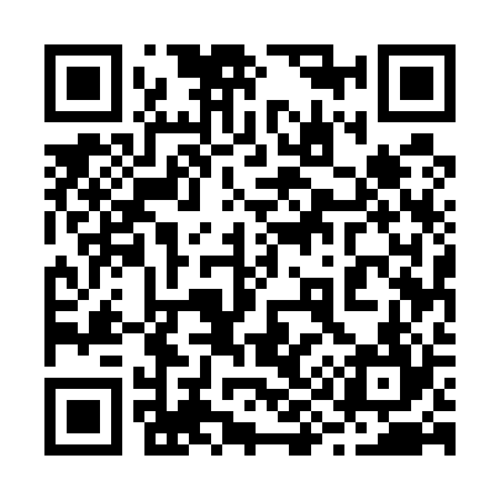QR code for 295524