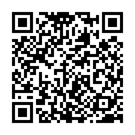 QR code for 295529