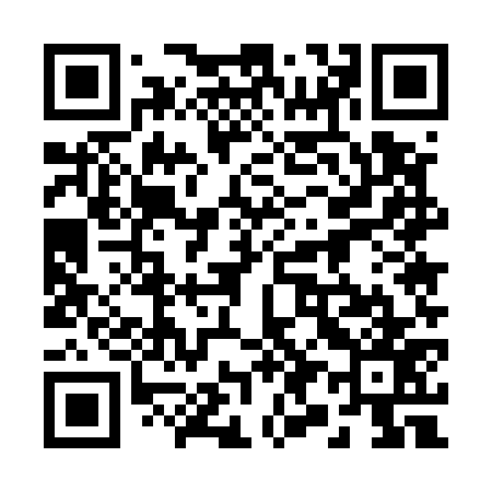 QR code for 295577