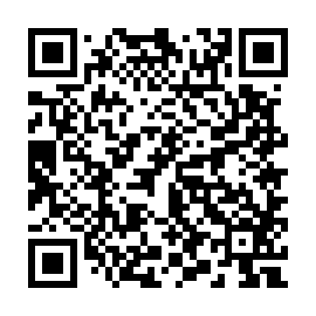 QR code for 295586