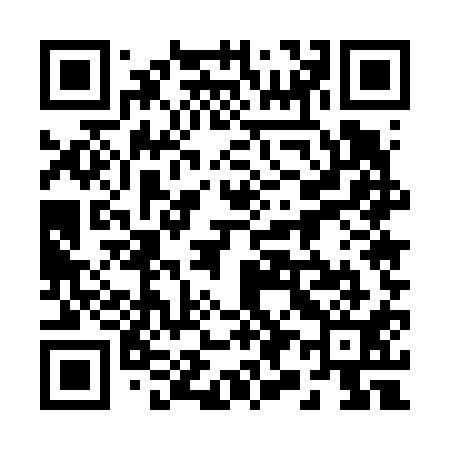 QR code for 295611