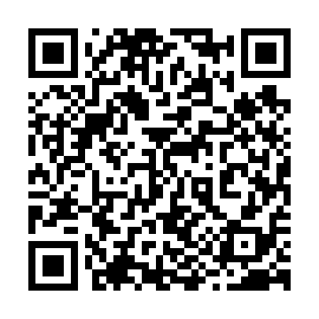 QR code for 295618