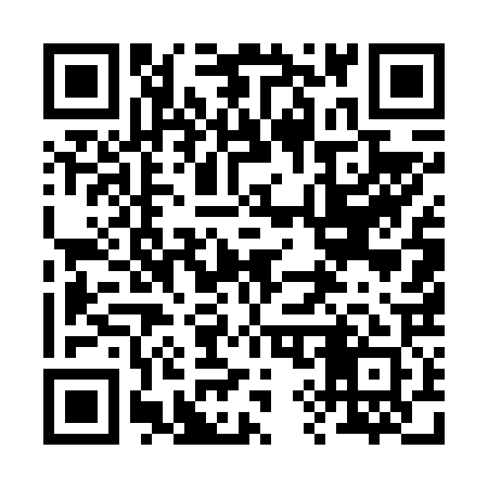 QR code for 295621