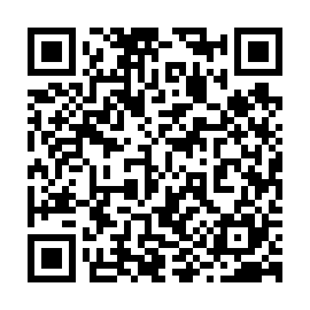 QR code for 295625