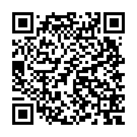 QR code for 295668