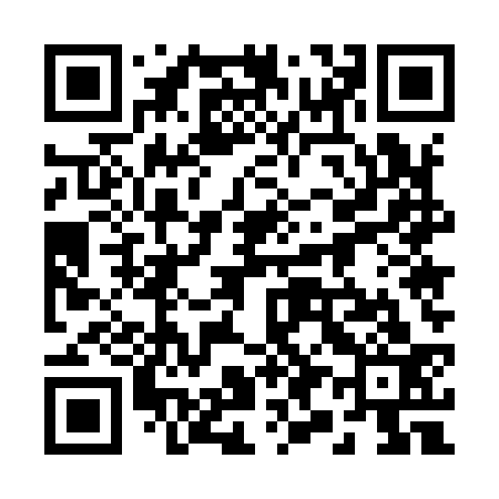 QR code for 295933