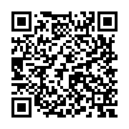 QR code for 295952