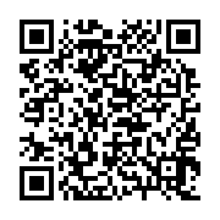 QR code for 296317