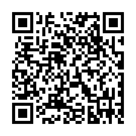 QR code for 296333