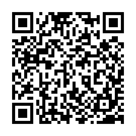 QR code for 296594