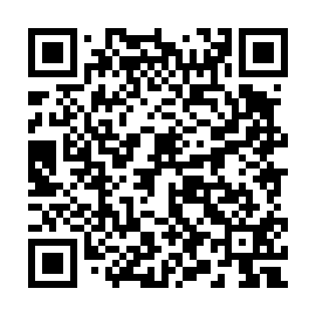 QR code for 298411