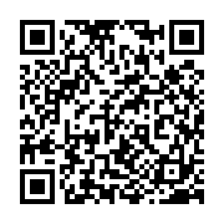 QR code for 299533