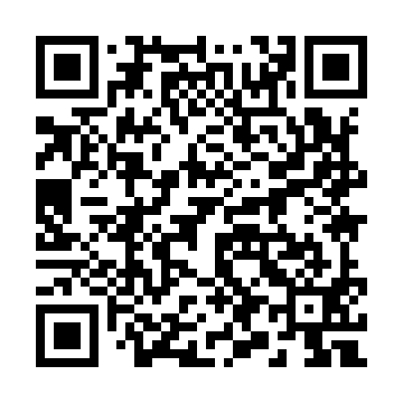 QR code for 299991