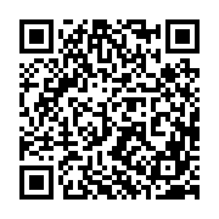 QR code for 300266
