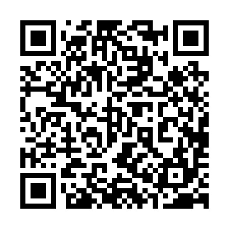 QR code for 300294