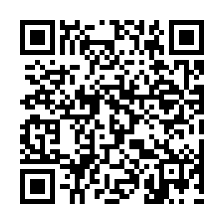 QR code for 300382
