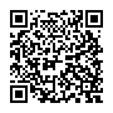 QR code for 300383