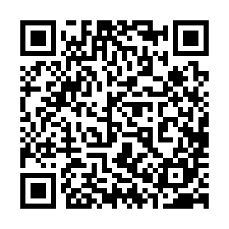 QR code for 300385