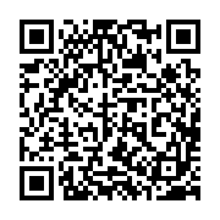 QR code for 300393