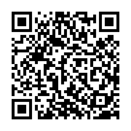 QR code for 300438