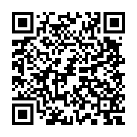 QR code for 300453