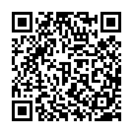 QR code for 300455