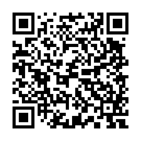 QR code for 300485
