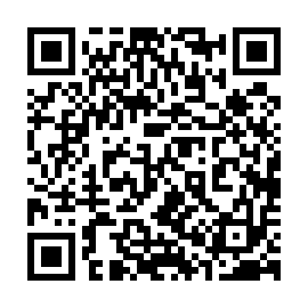 QR code for 300513