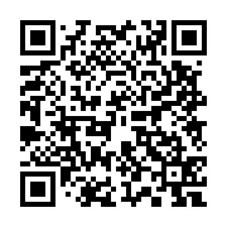 QR code for 300535