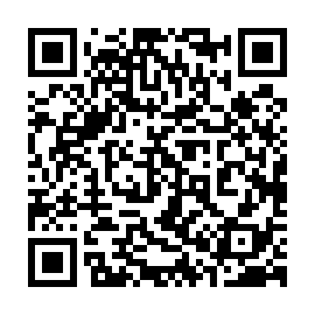 QR code for 300538