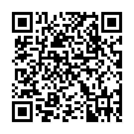 QR code for 300543