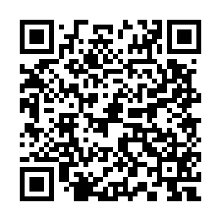 QR code for 300555
