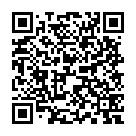 QR code for 300579