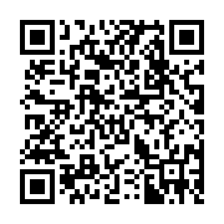 QR code for 300597