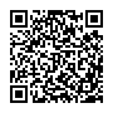 QR code for 300666