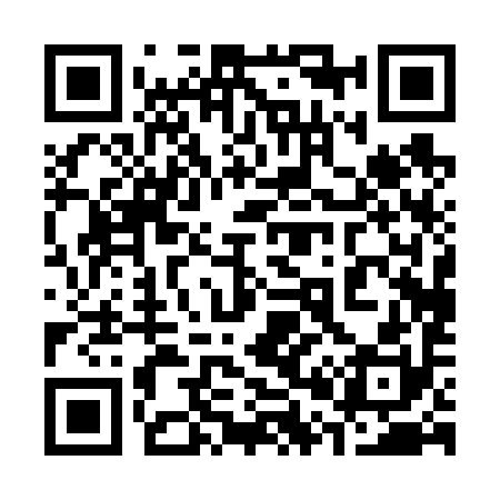 QR code for 300690