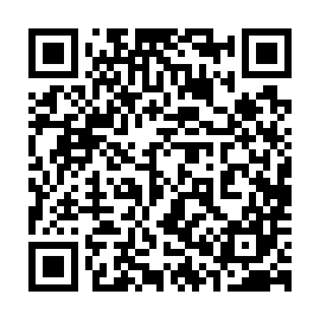 QR code for 300787