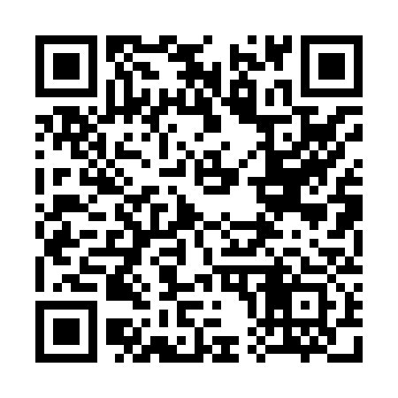 QR code for 300833