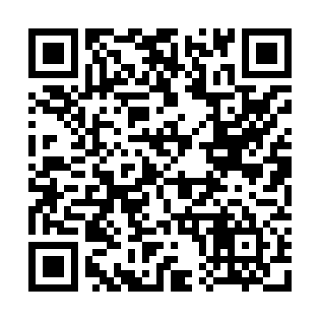 QR code for 300875