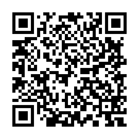 QR code for 300899